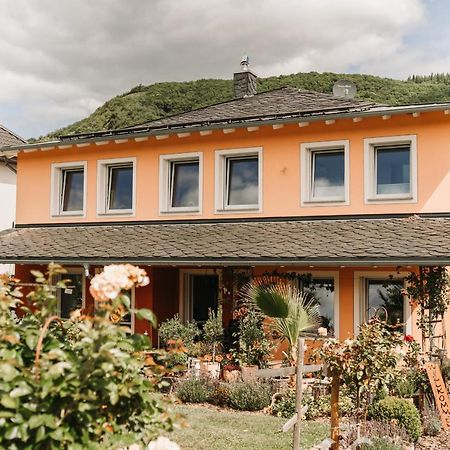 Wein- Und Gaestehaus Schwaab&Sohn Erden Ngoại thất bức ảnh