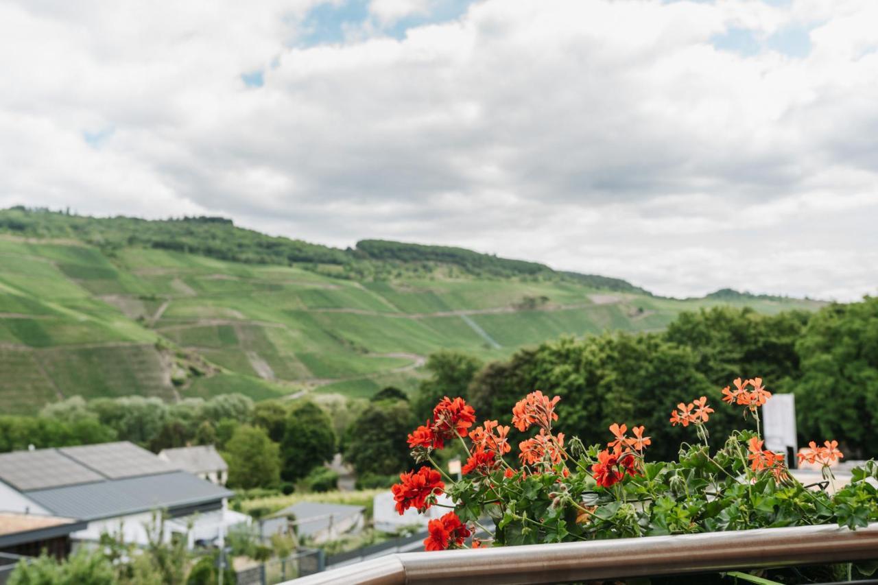 Wein- Und Gaestehaus Schwaab&Sohn Erden Ngoại thất bức ảnh