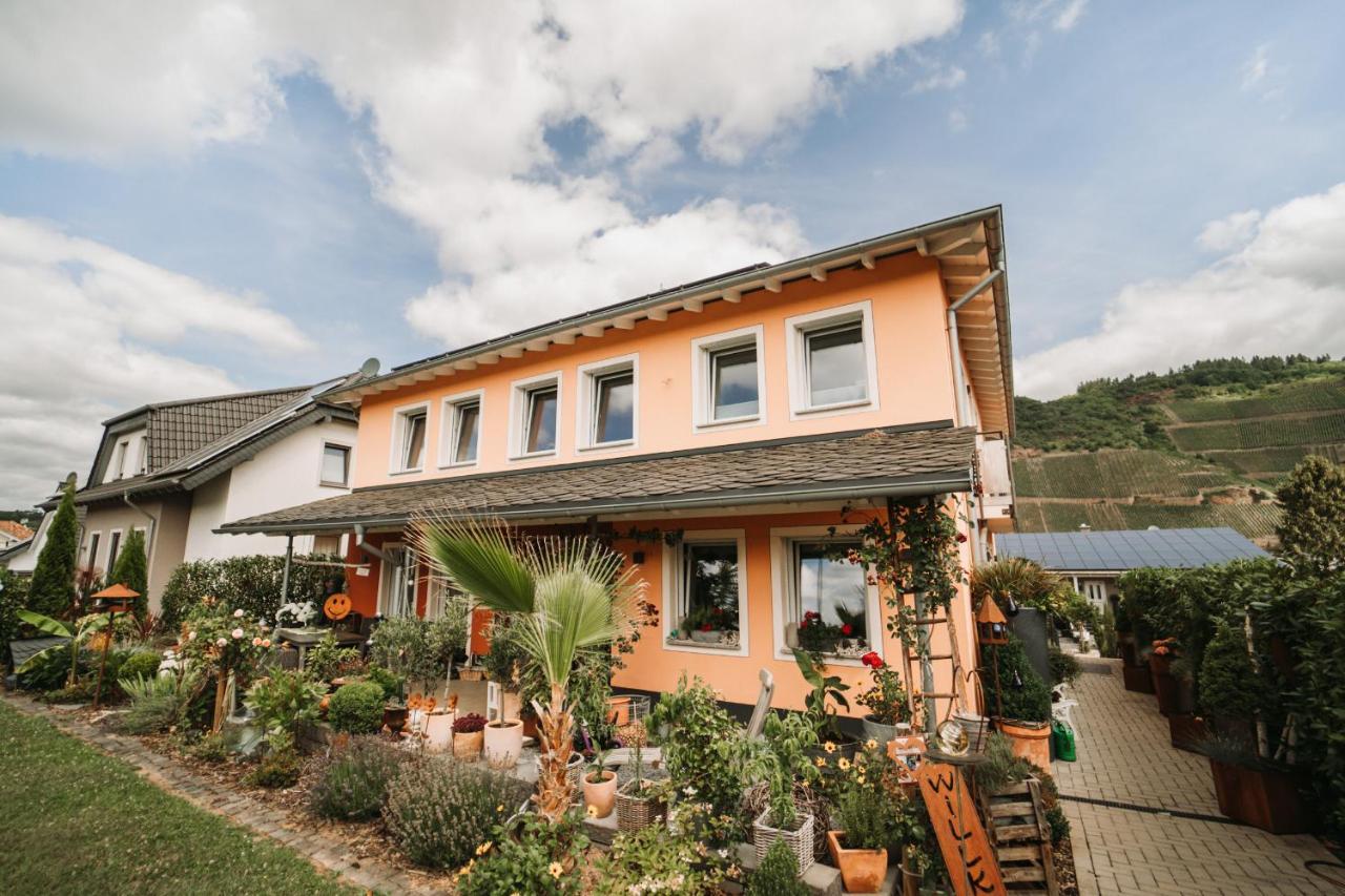 Wein- Und Gaestehaus Schwaab&Sohn Erden Ngoại thất bức ảnh