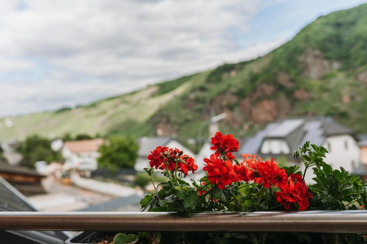 Wein- Und Gaestehaus Schwaab&Sohn Erden Ngoại thất bức ảnh