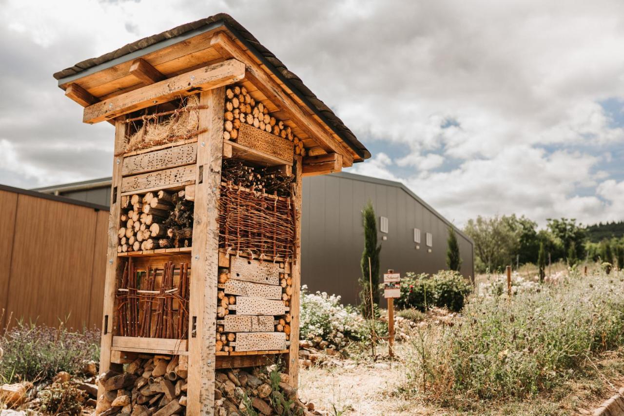 Wein- Und Gaestehaus Schwaab&Sohn Erden Ngoại thất bức ảnh